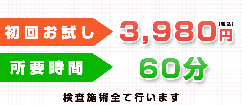 初回お試し3,980円