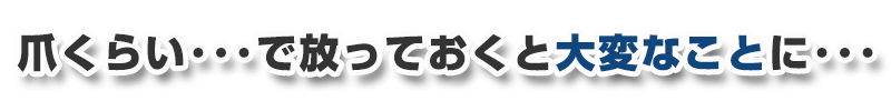 爪くらいで放っておくと大変なことに