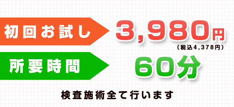 初回料金3,980円