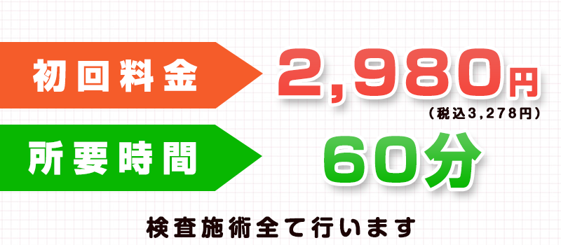 初回料金2980円（税込3278円）